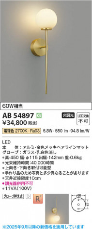 β Koizumi ߾ LED֥饱å AB54897