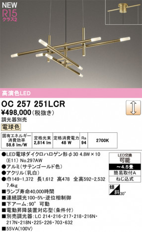 ODELIC ǥå ǥꥢ OC257251LCR ᥤ̿