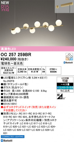 ODELIC ǥå ǥꥢ OC257259BR ᥤ̿