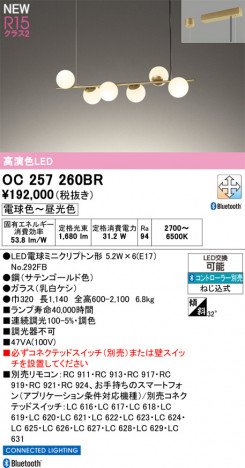 ODELIC ǥå ǥꥢ OC257260BR ᥤ̿