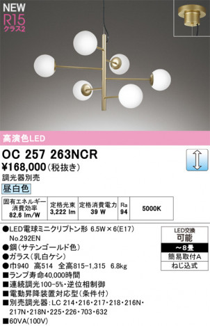 ODELIC ǥå ǥꥢ OC257263NCR ᥤ̿