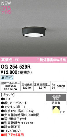 ODELIC ǥå ƥꥢ饤 OG254529R ᥤ̿