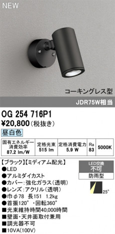 ODELIC ǥå ƥꥢ饤 OG254716P1 ᥤ̿