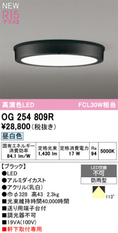 ODELIC ǥå ƥꥢ饤 OG254809R ᥤ̿