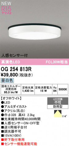 ODELIC ǥå ƥꥢ饤 OG254813R ᥤ̿