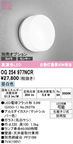 ODELIC ǥå ƥꥢ饤 OG254977NCR ᥤ̿