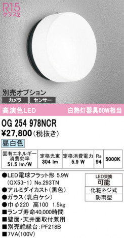 ODELIC ǥå ƥꥢ饤 OG254978NCR ᥤ̿