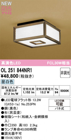 ODELIC ǥå 󥰥饤 OL251844NR1 ᥤ̿