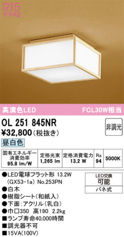 ODELIC ǥå 󥰥饤 OL251845NR ᥤ̿