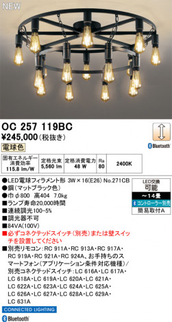 ñ�ʲ���ODELIC �����ǥ�å� LED �����ǥꥢ OC257119BC | ���������̿����䡦����ƥꥢ���������Ρڥ饤�ȥ��������