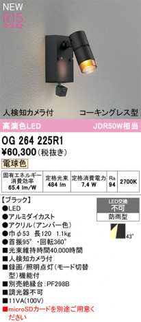 ñ�ʲ���ODELIC �����ǥ�å� LED �������ƥꥢ�饤�� OG264225R1 | ���������̿����䡦����ƥꥢ���������Ρڥ饤�ȥ��������