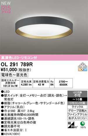 ñ�ʲ���ODELIC �����ǥ�å� LED ������󥰥饤�� OL291789R | ���������̿����䡦����ƥꥢ���������Ρڥ饤�ȥ��������