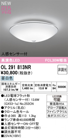 ñ�ʲ���ODELIC �����ǥ�å� LED ����������󥰥饤�� OL291813NR | ���������̿����䡦����ƥꥢ���������Ρڥ饤�ȥ��������