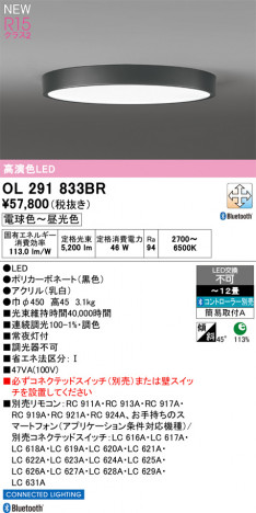 ñ�ʲ���ODELIC �����ǥ�å� LED ������󥰥饤�� OL291833BR | ���������̿����䡦����ƥꥢ���������Ρڥ饤�ȥ��������