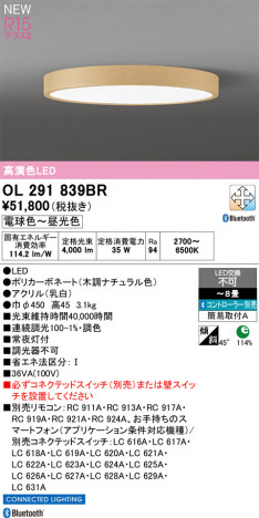 ñ�ʲ���ODELIC �����ǥ�å� LED ������󥰥饤�� OL291839BR | ���������̿����䡦����ƥꥢ���������Ρڥ饤�ȥ��������