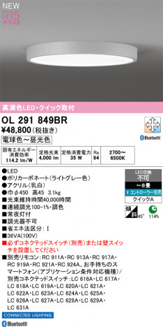 ñ�ʲ���ODELIC �����ǥ�å� LED ������󥰥饤�� OL291849BR | ���������̿����䡦����ƥꥢ���������Ρڥ饤�ȥ��������