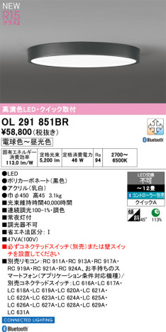 ñ�ʲ���ODELIC �����ǥ�å� LED ������󥰥饤�� OL291851BR | ���������̿����䡦����ƥꥢ���������Ρڥ饤�ȥ��������
