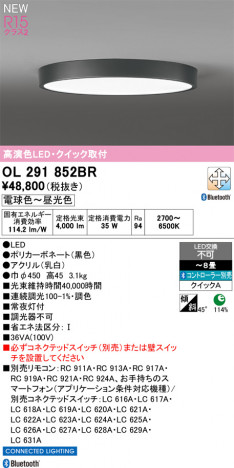 ñ�ʲ���ODELIC �����ǥ�å� LED ������󥰥饤�� OL291852BR | ���������̿����䡦����ƥꥢ���������Ρڥ饤�ȥ��������