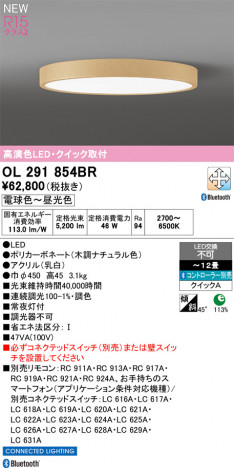 ñ�ʲ���ODELIC �����ǥ�å� LED ������󥰥饤�� OL291854BR | ���������̿����䡦����ƥꥢ���������Ρڥ饤�ȥ��������