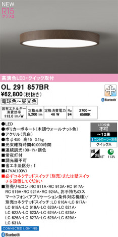 ñ�ʲ���ODELIC �����ǥ�å� LED ������󥰥饤�� OL291857BR | ���������̿����䡦����ƥꥢ���������Ρڥ饤�ȥ��������