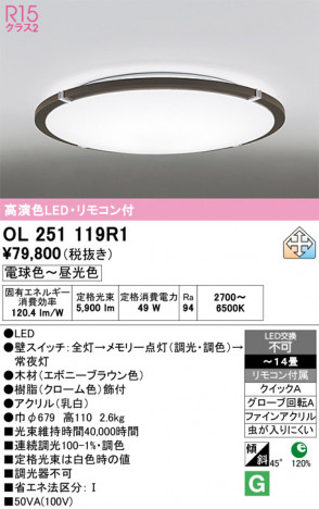 ñ�ʲ���ODELIC �����ǥ�å� LED ������󥰥饤�� OL251119R1 | ���������̿����䡦����ƥꥢ���������Ρڥ饤�ȥ��������