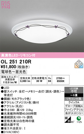 ñ�ʲ���ODELIC �����ǥ�å� LED ������󥰥饤�� OL251210R | ���������̿����䡦����ƥꥢ���������Ρڥ饤�ȥ��������