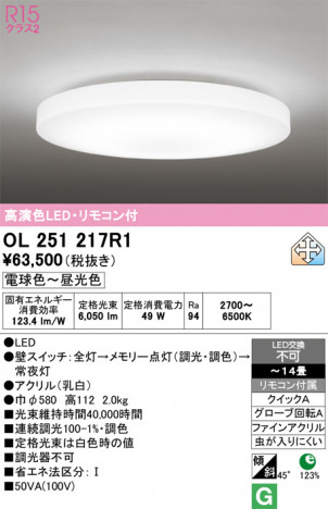 ñ�ʲ���ODELIC �����ǥ�å� LED ������󥰥饤�� OL251217R1 | ���������̿����䡦����ƥꥢ���������Ρڥ饤�ȥ��������