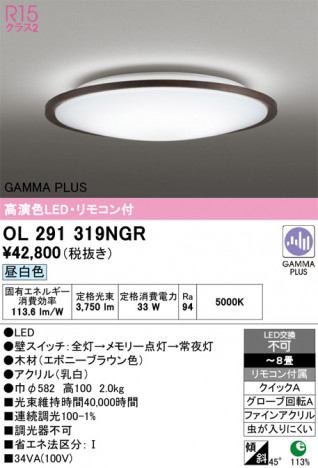 ñ�ʲ���ODELIC �����ǥ�å� LED ������󥰥饤�� OL291319NGR | ���������̿����䡦����ƥꥢ���������Ρڥ饤�ȥ��������