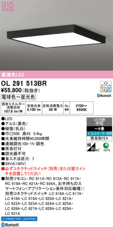 ñ�ʲ���ODELIC �����ǥ�å� LED ������󥰥饤�� OL291513BR | ���������̿����䡦����ƥꥢ���������Ρڥ饤�ȥ��������