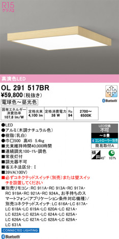 ñ�ʲ���ODELIC �����ǥ�å� LED ������󥰥饤�� OL291517BR | ���������̿����䡦����ƥꥢ���������Ρڥ饤�ȥ��������