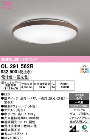 ñ�ʲ���ODELIC �����ǥ�å� LED ������󥰥饤�� OL291562R | ���������̿����䡦����ƥꥢ���������Ρڥ饤�ȥ��������