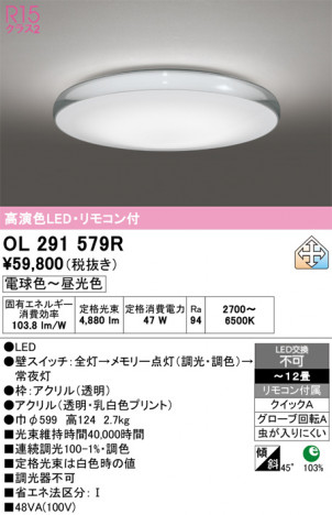 ñ�ʲ���ODELIC �����ǥ�å� LED ������󥰥饤�� OL291579R | ���������̿����䡦����ƥꥢ���������Ρڥ饤�ȥ��������