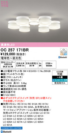 ñ�ʲ���ODELIC �����ǥ�å� LED �����ǥꥢ OC257171BR | ���������̿����䡦����ƥꥢ���������Ρڥ饤�ȥ��������