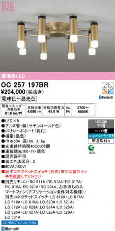 ñ�ʲ���ODELIC �����ǥ�å� LED �����ǥꥢ OC257197BR | ���������̿����䡦����ƥꥢ���������Ρڥ饤�ȥ��������