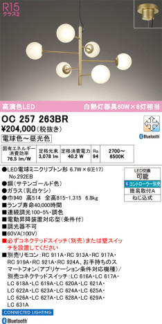 ñ�ʲ���ODELIC �����ǥ�å� LED �����ǥꥢ OC257263BR | ���������̿����䡦����ƥꥢ���������Ρڥ饤�ȥ��������