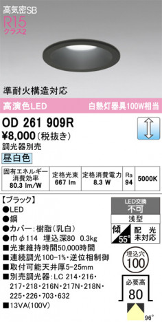 ñ�ʲ���ODELIC �����ǥ�å� LED ������饤�� OD261909R | ���������̿����䡦����ƥꥢ���������Ρڥ饤�ȥ��������