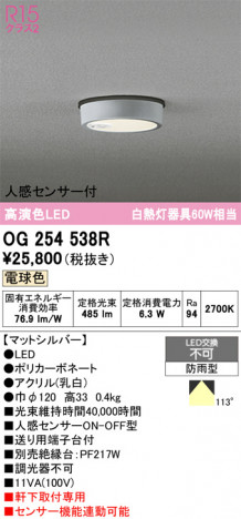 ñ�ʲ���ODELIC �����ǥ�å� LED �������ƥꥢ�饤�� OG254538R | ���������̿����䡦����ƥꥢ���������Ρڥ饤�ȥ��������