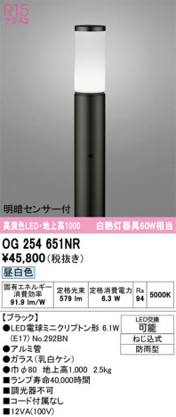 ñ�ʲ���ODELIC �����ǥ�å� LED �������ƥꥢ�饤�� OG254651NR | ���������̿����䡦����ƥꥢ���������Ρڥ饤�ȥ��������