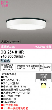 ñ�ʲ���ODELIC �����ǥ�å� LED �������ƥꥢ�饤�� OG254813R | ���������̿����䡦����ƥꥢ���������Ρڥ饤�ȥ��������