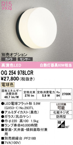 ñ�ʲ���ODELIC �����ǥ�å� LED �������ƥꥢ�饤�� OG254978LCR | ���������̿����䡦����ƥꥢ���������Ρڥ饤�ȥ��������