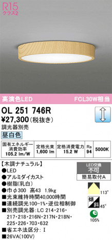 ñ�ʲ���ODELIC �����ǥ�å� LED ����������󥰥饤�� OL251746R | ���������̿����䡦����ƥꥢ���������Ρڥ饤�ȥ��������