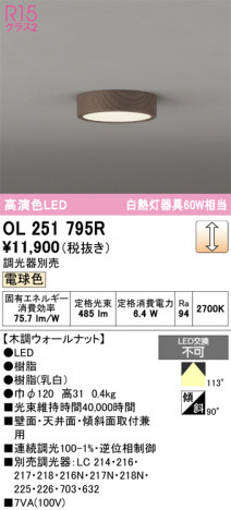 ñ�ʲ���ODELIC �����ǥ�å� LED ����������󥰥饤�� OL251795R | ���������̿����䡦����ƥꥢ���������Ρڥ饤�ȥ��������