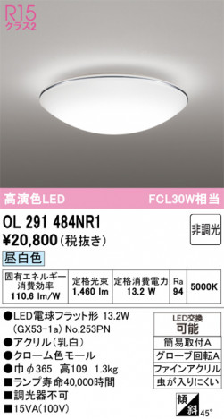 ñ�ʲ���ODELIC �����ǥ�å� LED ����������󥰥饤�� OL291484NR1 | ���������̿����䡦����ƥꥢ���������Ρڥ饤�ȥ��������