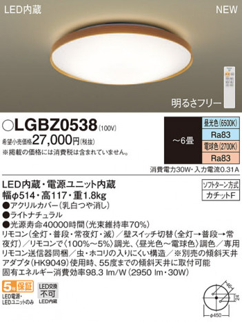 Panasonic LED ���ݥ�󥰥饤�� LGBZ0538 �ᥤ��̿�