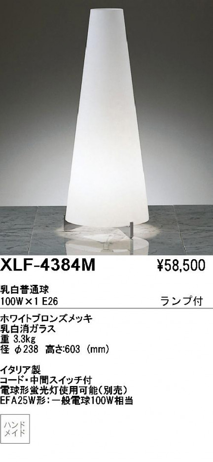 ��ƣ������ENDO��ABiTA���ե���������ɡ�XLF-4384M