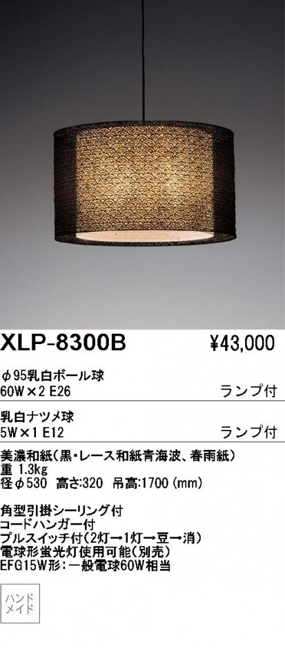 ��ƣ������ENDO��ABiTA�������ڥ����ȡ�XLP-8300B