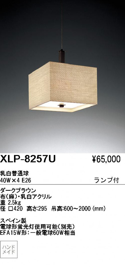 ��ƣ������ENDO��ABiTA�������ڥ����ȡ�XLP-8257U