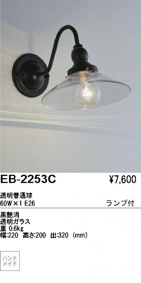 ��ƣ������ENDO���֥饱�åȡ�EB-2253C