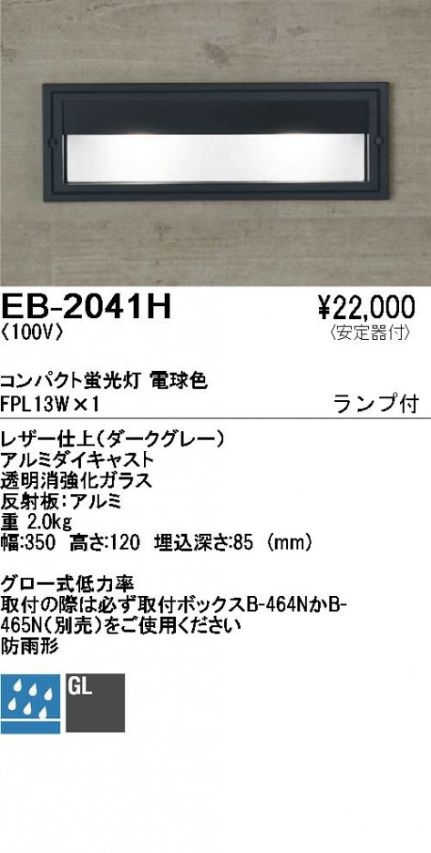 ��ƣ���� ENDO �����ȥɥ� �եåȥ饤�� EB-2041H