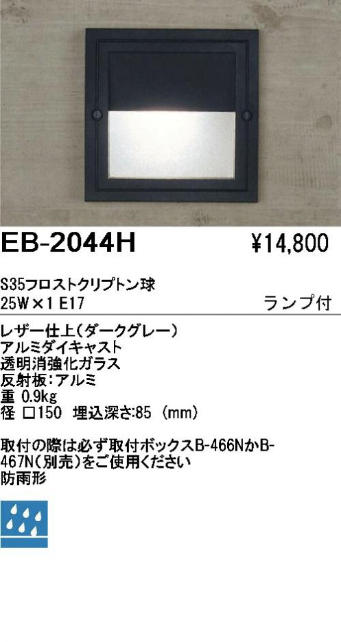 ��ƣ���� ENDO �����ȥɥ� �եåȥ饤�� EB-2044H